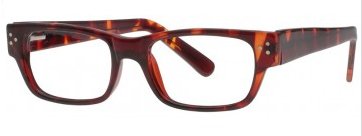 plastic frames