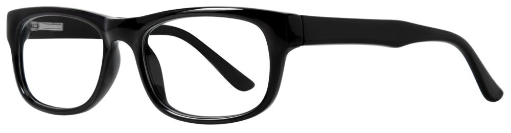 Affordable Designs Professor Eyeglasses, Black frame. Angled left