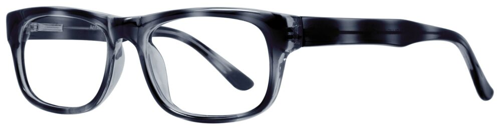 Affordable Designs Professor Eyeglasses, Blue frame. Angled left