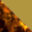 jp-element-TortoiseshellwithPolarvueYellowLens-swatch