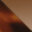 tortoise-Browngradient-swatch
