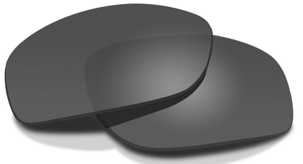 wx-brick-replacement_lenses-gray-RX_Safety