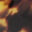 dark-tortoise_swatch
