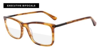 Executive Bifocal Glasses Model 4264