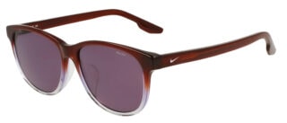 Nike Eclipse Dusk Low Bridge
