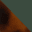 tortoise-green-swatch