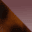 tortoise-pink-gradient-swatch