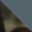 wetlands-tortoise-gray-swatch
